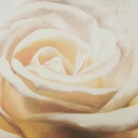 Morfeo 아그로폴리